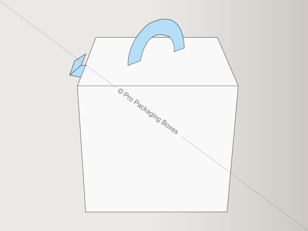 Custom Printed Cubed Shaped Carrier Boxes