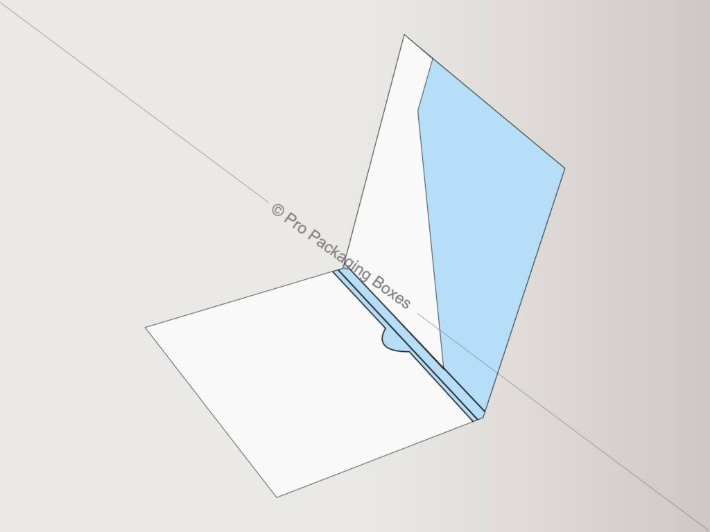 Custom Printed Disk Folders