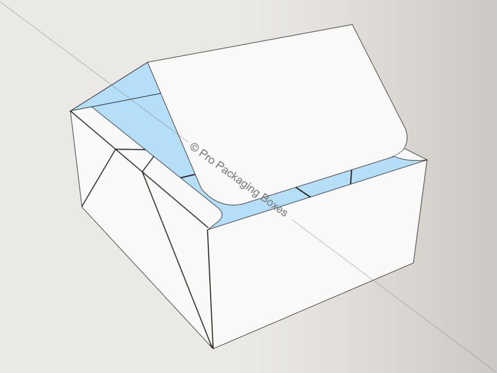 Custom Printed Four Corner Tray Boxes with Display Lid