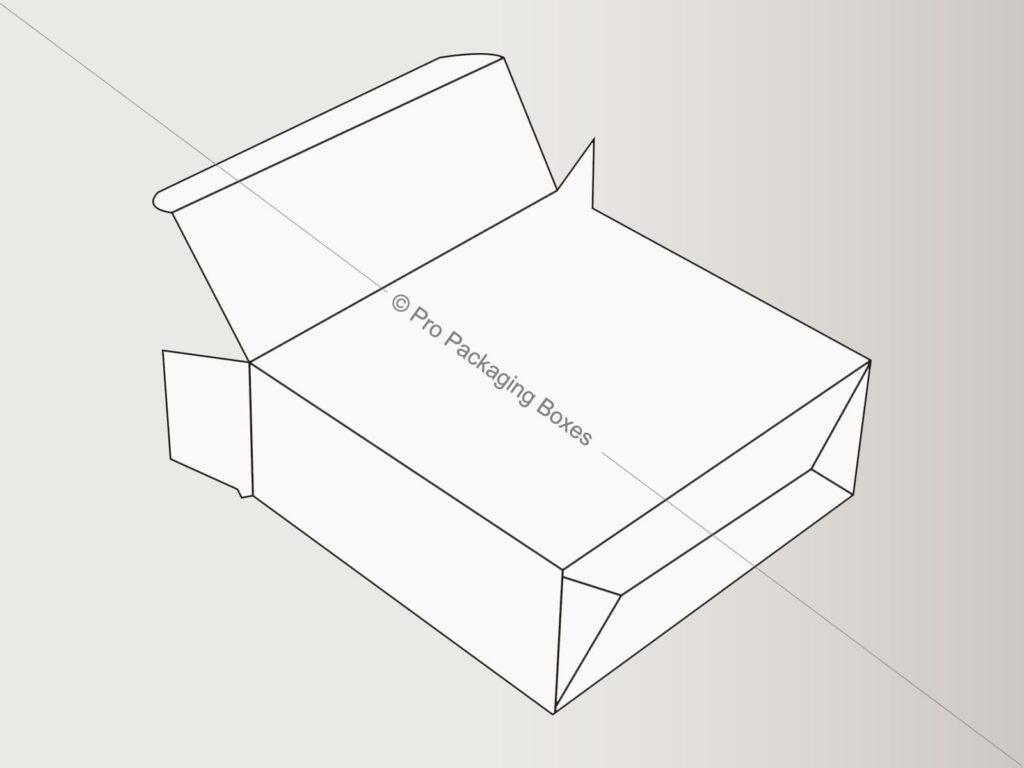 Custom Printed Full Flap Auto Bottom Boxes