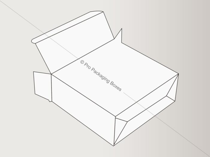 Custom Printed Full Flap Auto Bottom Boxes