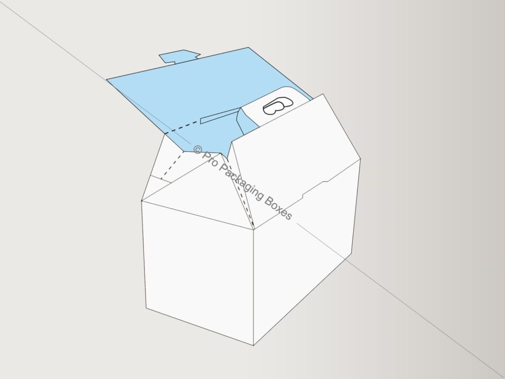 Custom Printed Gable Box With Auto Bottom