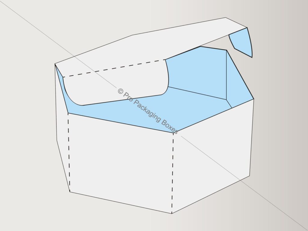 Custom Printed Hexagon Boxes