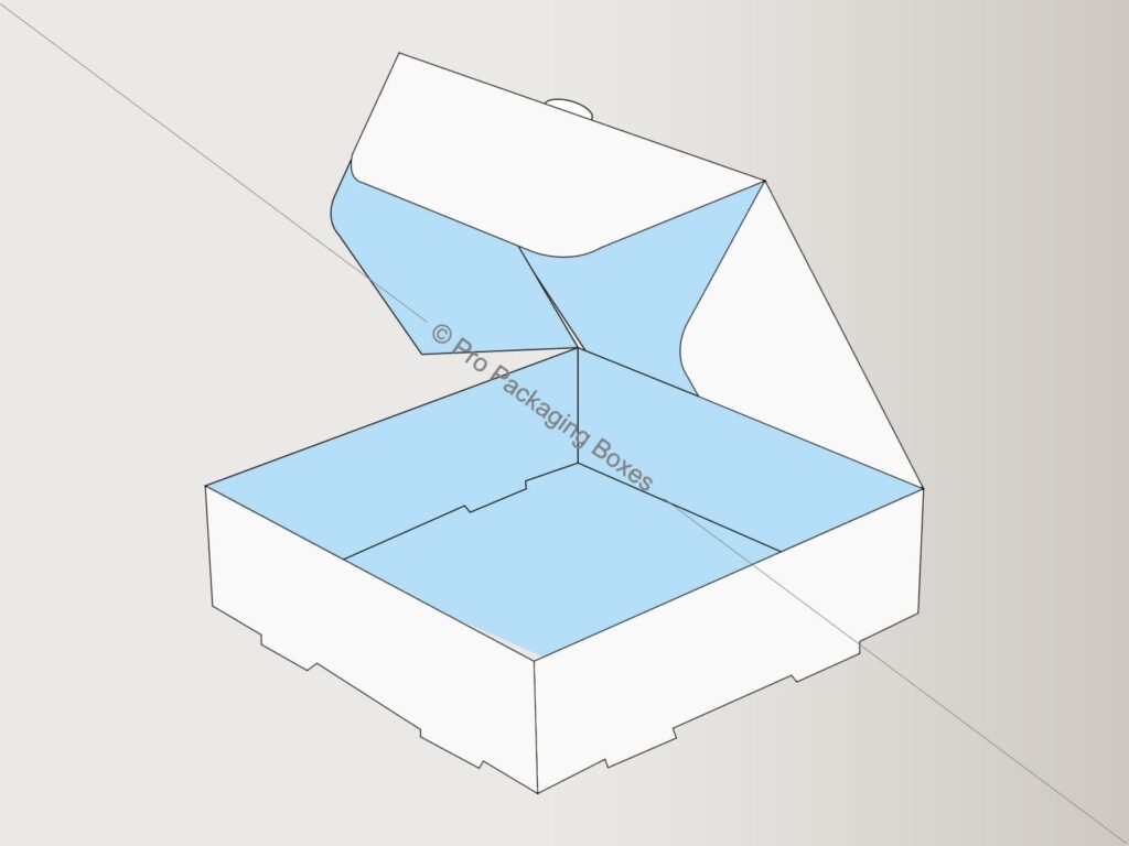 Custom Printed Hinged Lid Double Locked Wall Boxes