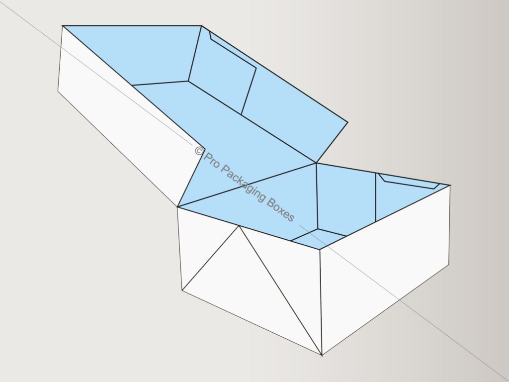 Custom Printed Regular Six Corner Boxes