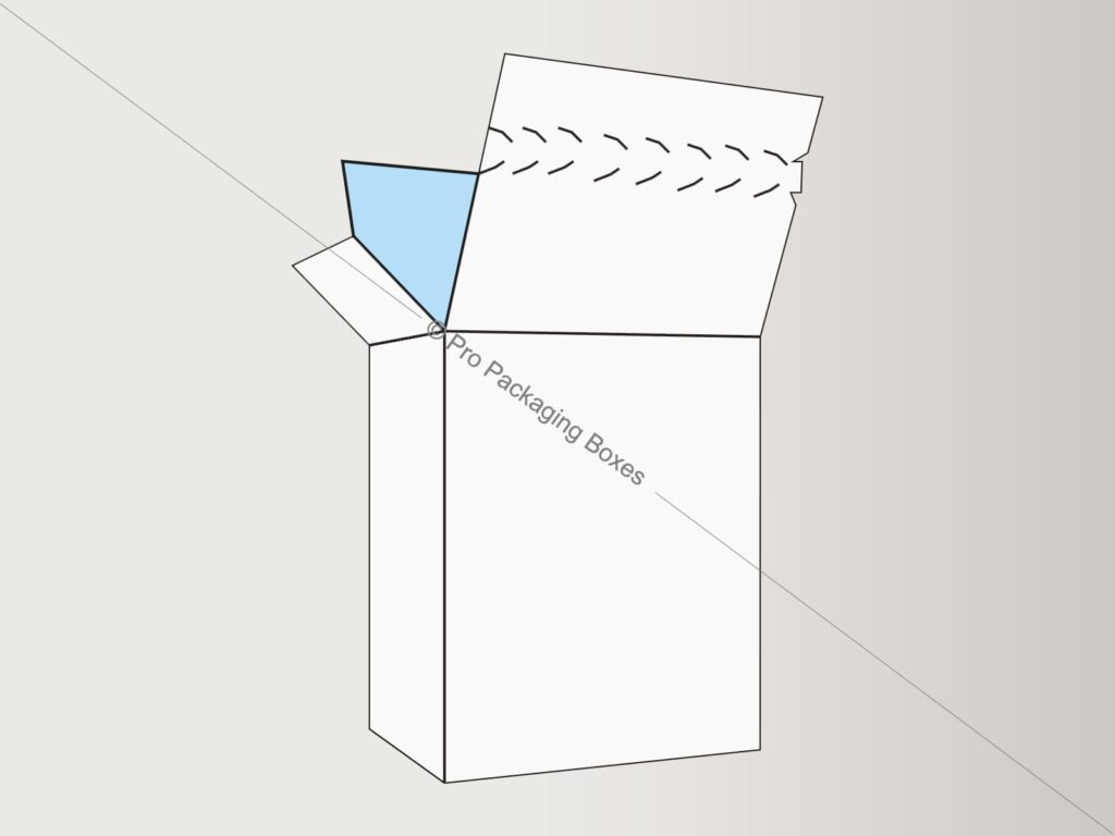 Custom Printed Seal End With Tear Open and Lock Boxes
