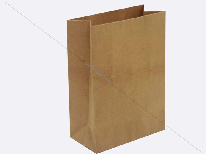 Custom Kraft Paper Bags