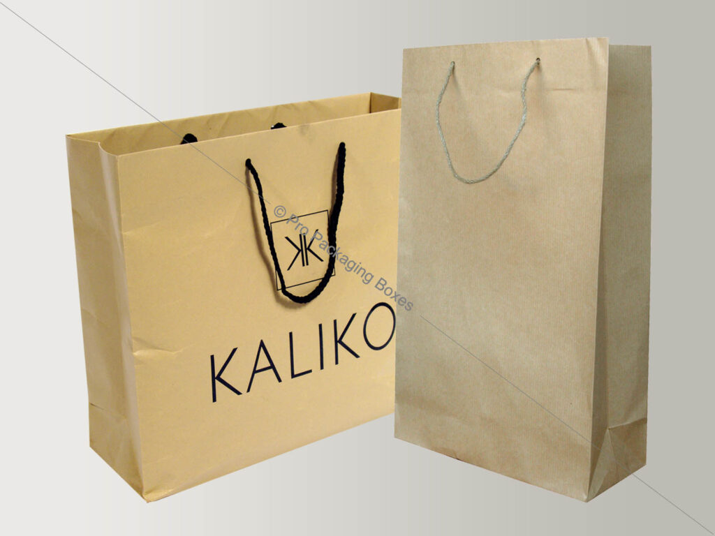 custom printed paper bags with string handles