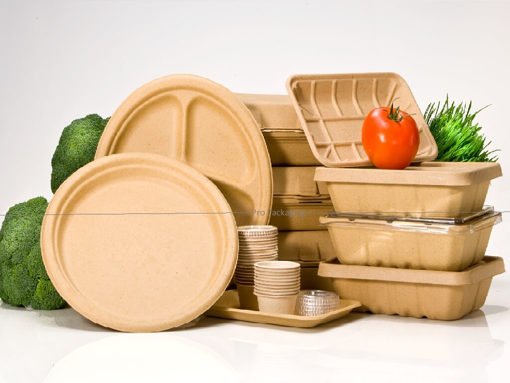 bagasse packaging