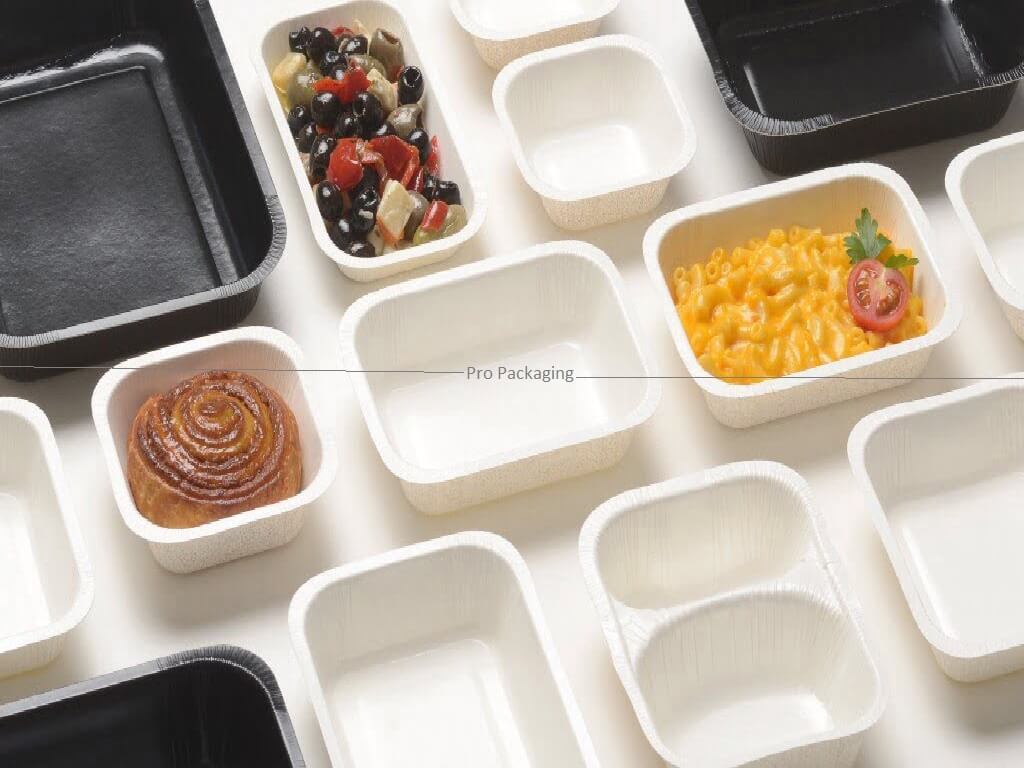 bagasse packaging