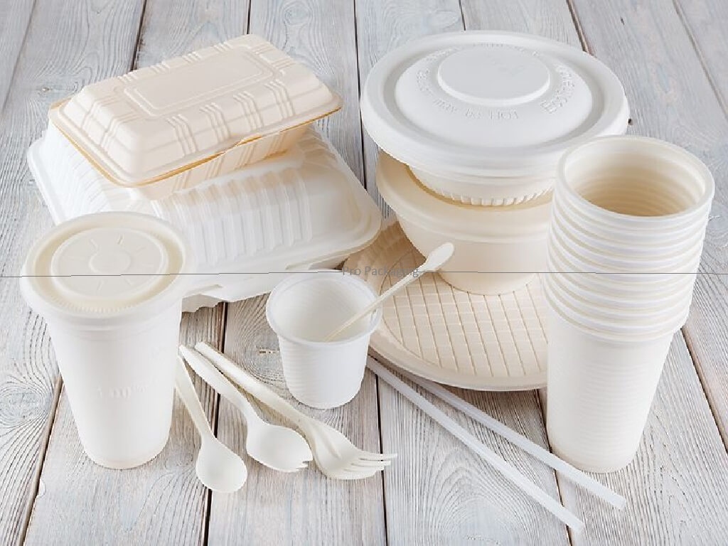 bagasse packaging